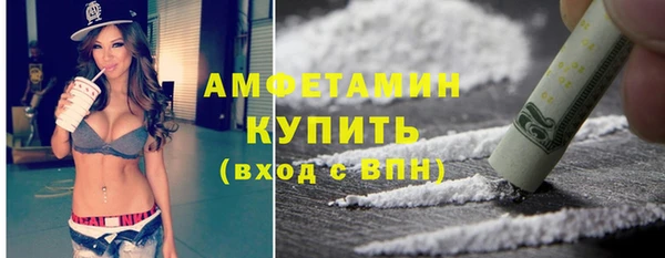 шишки Лабытнанги