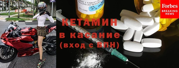 шишки Лабытнанги